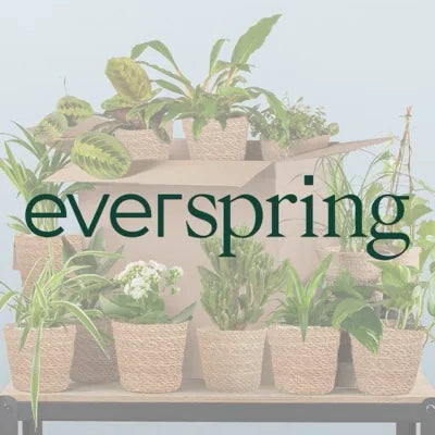 Everspring logo