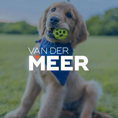 Van der Meer logo